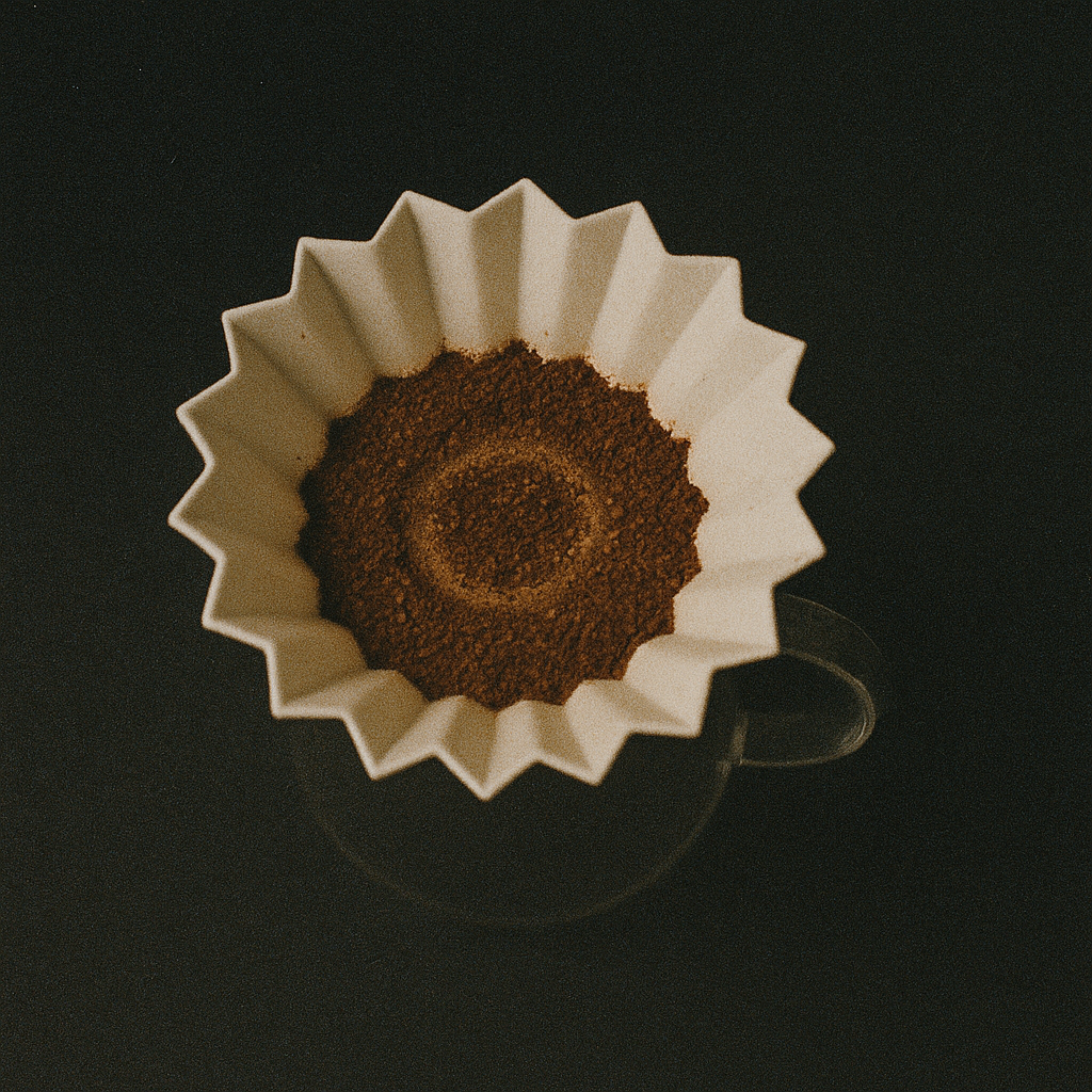 Brewing Light Roast Coffee 101 – Tips for Extraction and Flavour